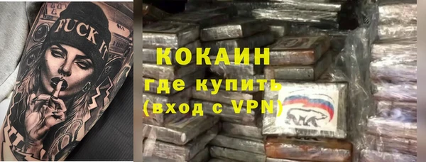 твердый Кодинск