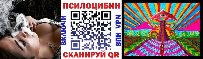 ОМГ ОМГ ССЫЛКА  Одинцово  Псилоцибиновые грибы Psilocybe 